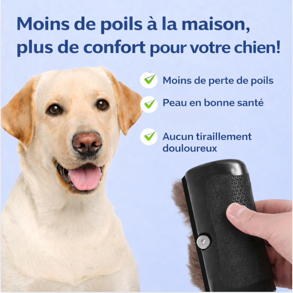 FurNova™ – Brosse Professionnelle Anti-Poils