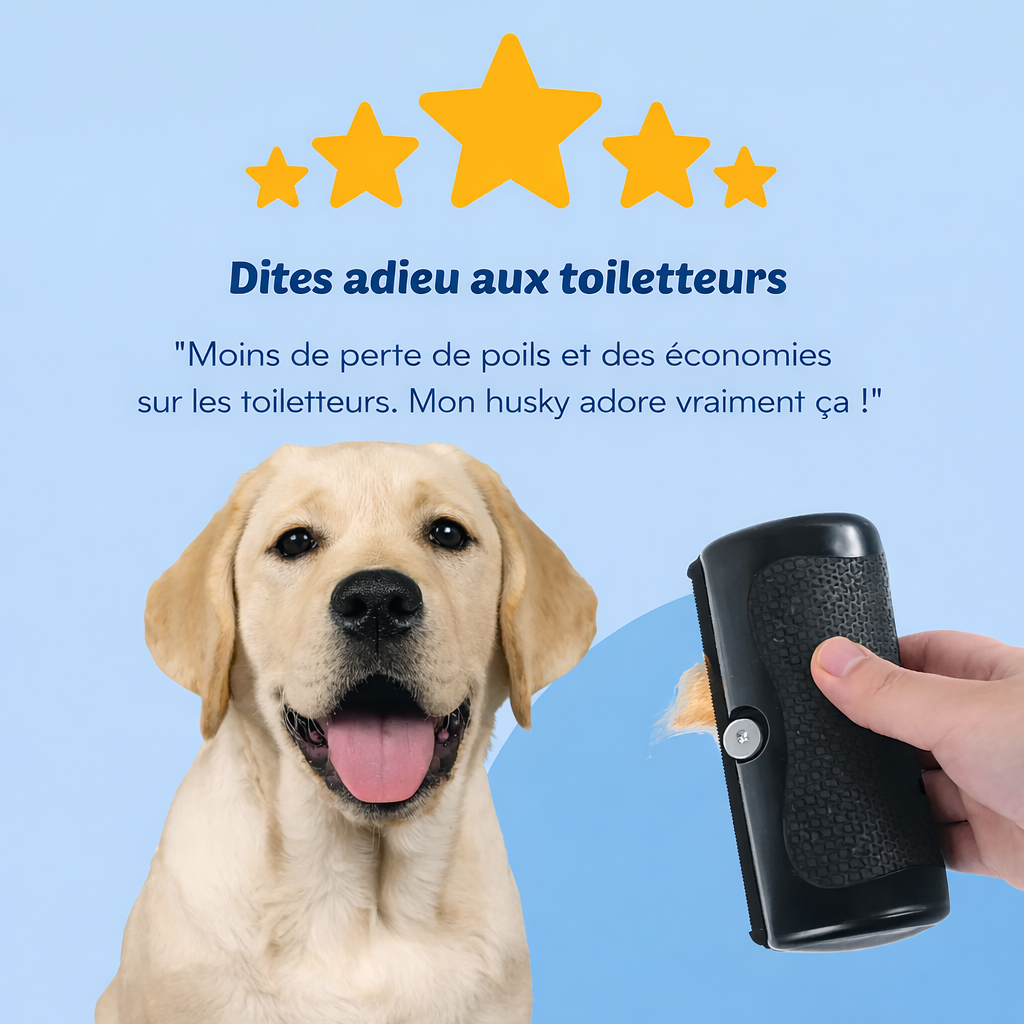 FurNova™ – Brosse Professionnelle Anti-Poils