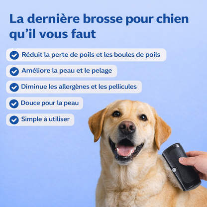 FurNova™ – Brosse Professionnelle Anti-Poils